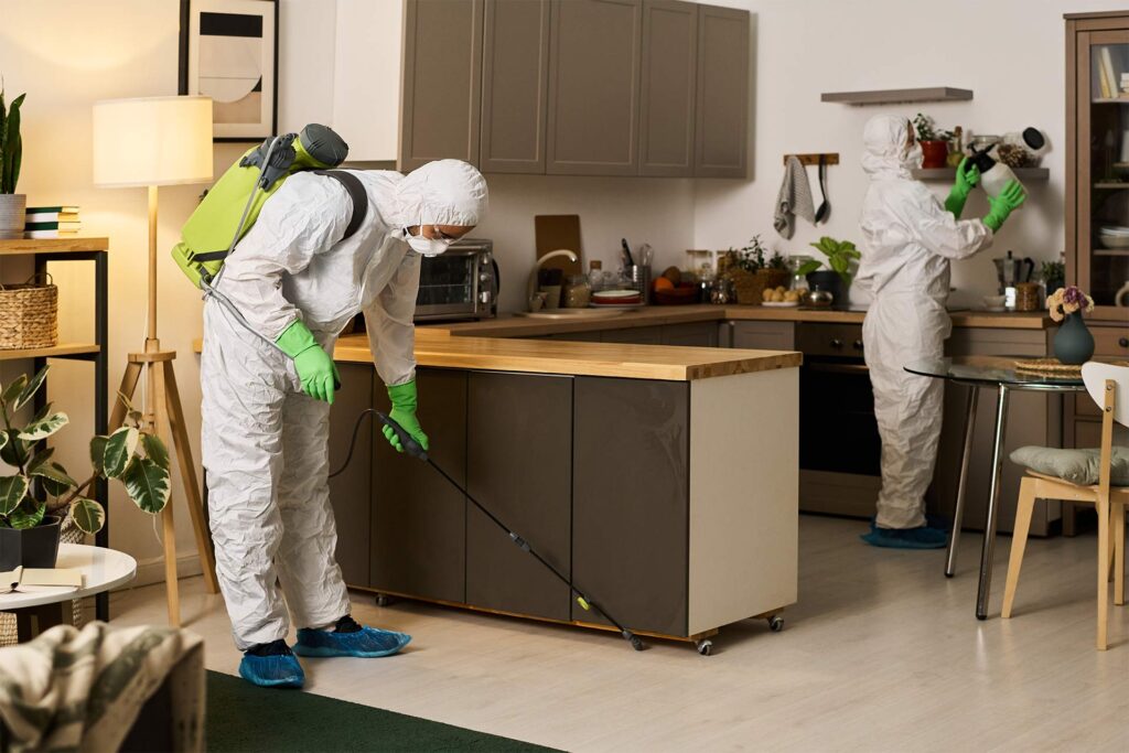 Seasonal Pest Activity in Colorado and What Homeowners Should Expect