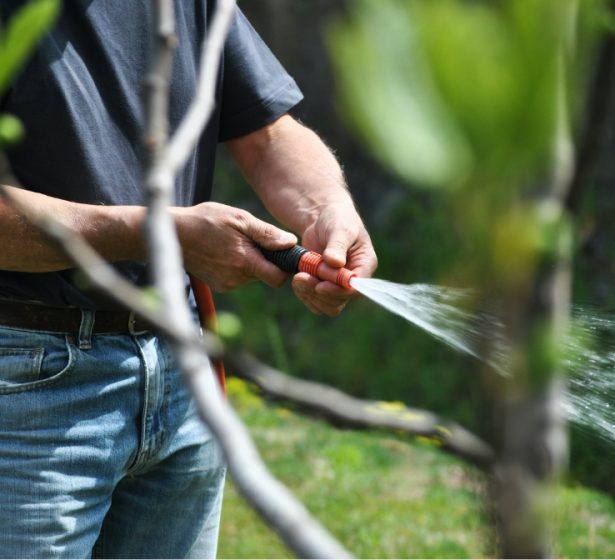 high-tech-insect-control